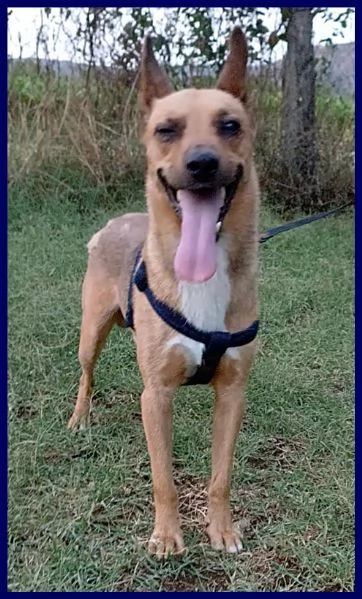 ZAK tenero piccoletto hanno rinunciato a lui | Foto 0