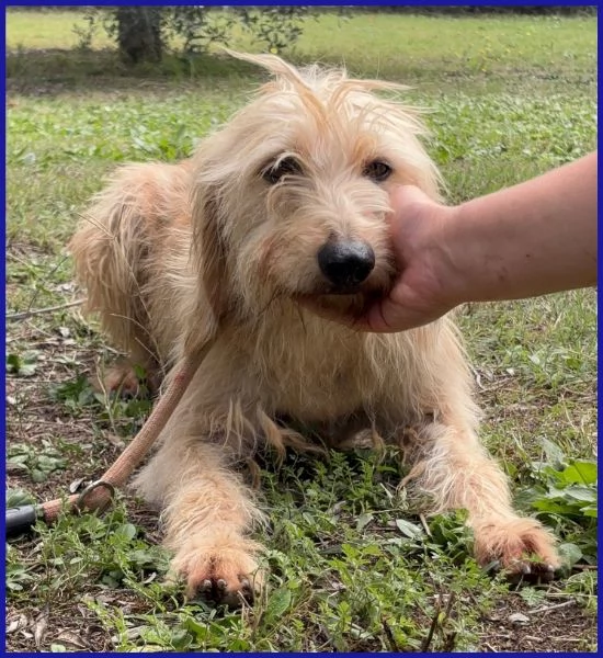 GIACOMO ha passato l'inferno ma ora &egrave; pronto per una famiglia | Foto 1