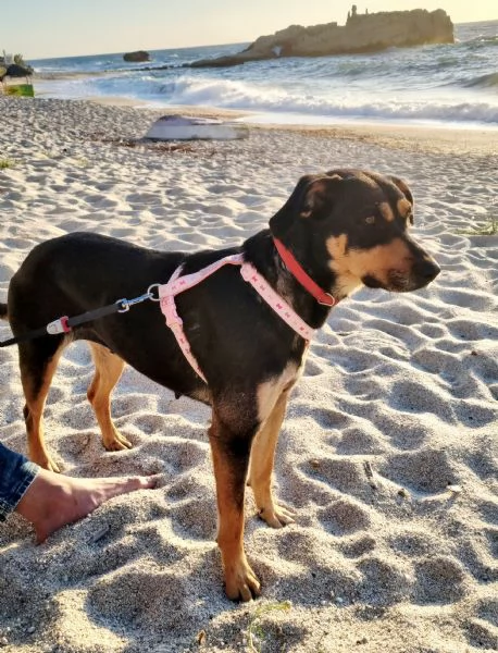 DOLCISSIMA MILLY | Foto 0