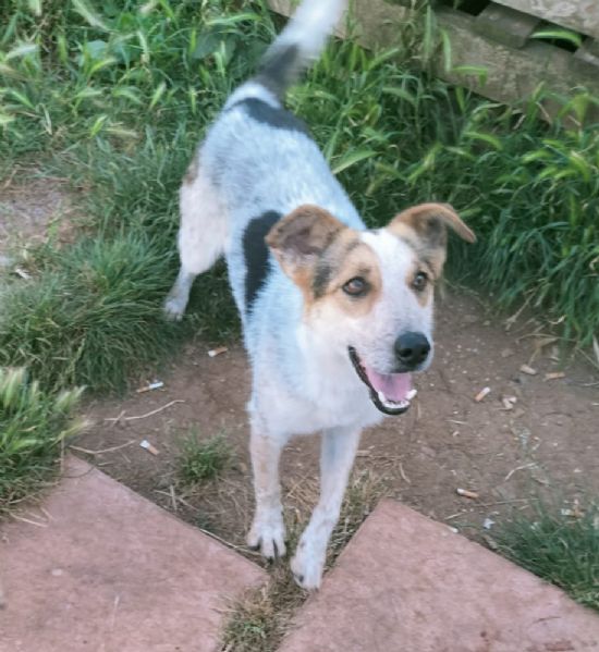 DOLCE DOROTHY  | Foto 0