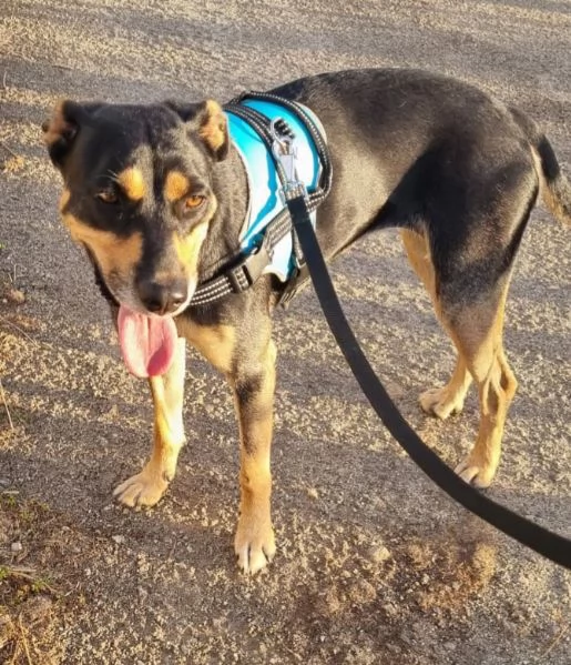 DOLCISSIMA MILLY  | Foto 2