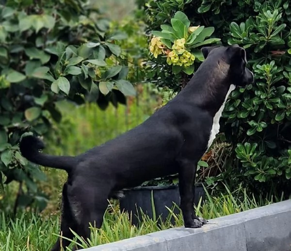 UNA MAMMA PER MICKY  | Foto 0