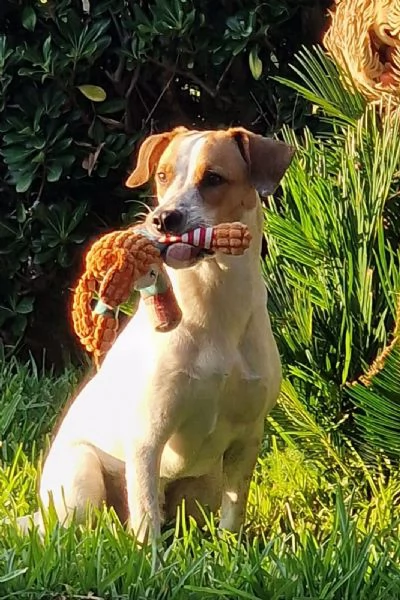 UNA MAMMA PER MIELE | Foto 2