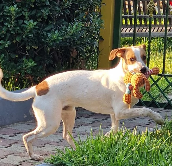 UNA MAMMA PER MIELE | Foto 1