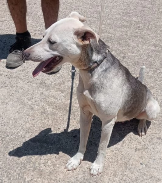 UNA MAMMA PER ARIA | Foto 0