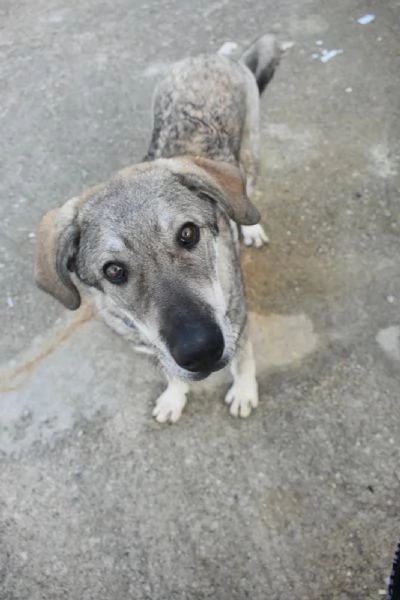 UNA MAMMA PER BALU | Foto 3