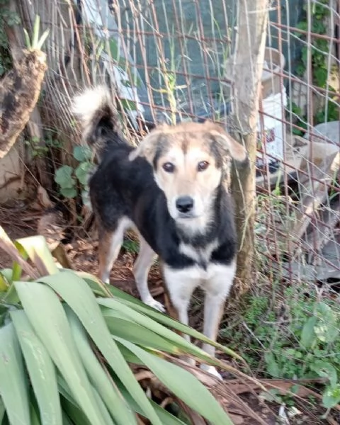 UNA FAMIGLIA PER LINA | Foto 1