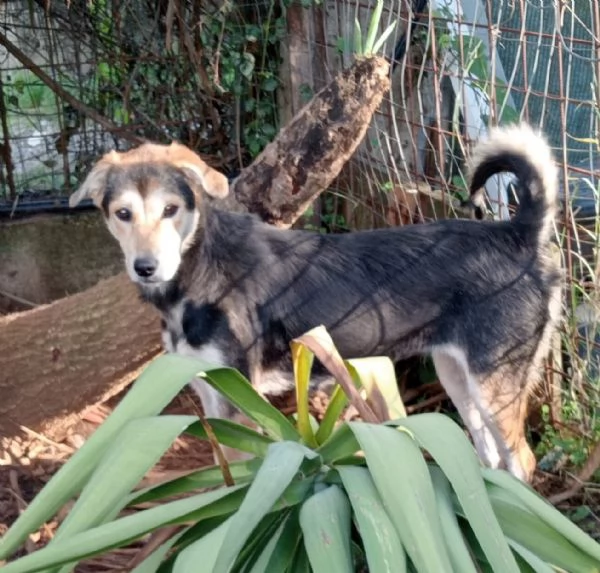 UNA FAMIGLIA PER LINA | Foto 0