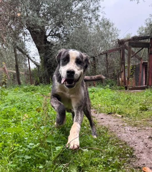 UNA MAMMA PER OTIS | Foto 0