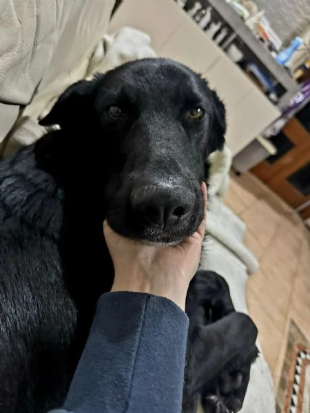 UNA MAMMA PER DANTE | Foto 1