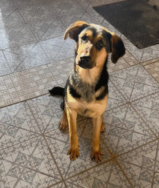 UNA MAMMA PER ATTILA | Foto 1