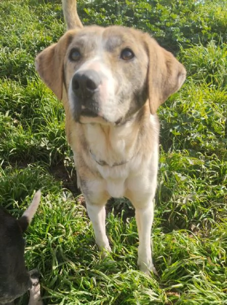 UNA MAMMA PER TERRY | Foto 2