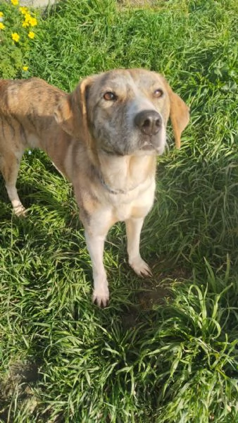 UNA MAMMA PER TERRY | Foto 1