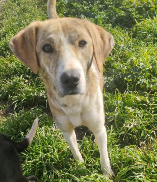 UNA MAMMA PER TERRY | Foto 0