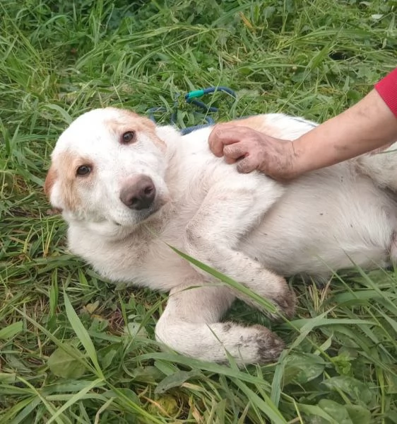 UNA MAMMA PER COOCKIE 