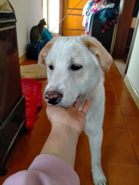 UNA MAMMA PER WILLY | Foto 3