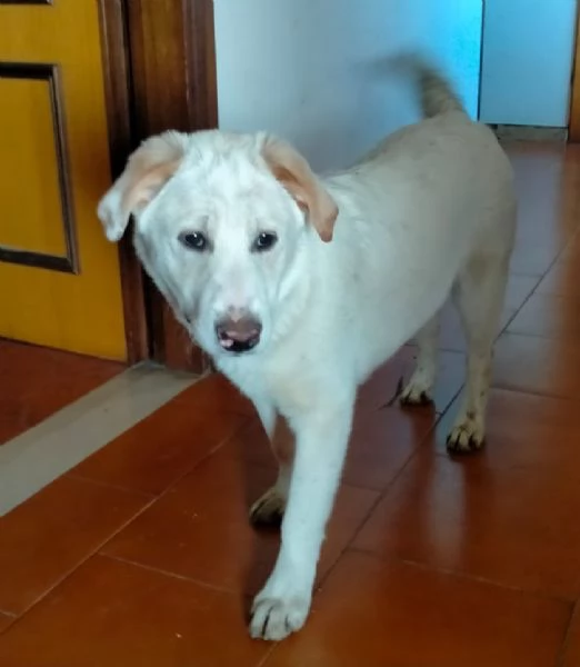 UNA MAMMA PER WILLY | Foto 1