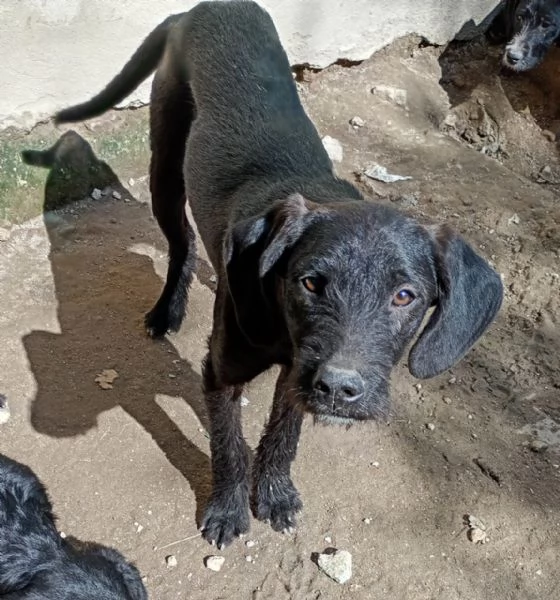 UNA MAMMA PER SYRIA | Foto 1