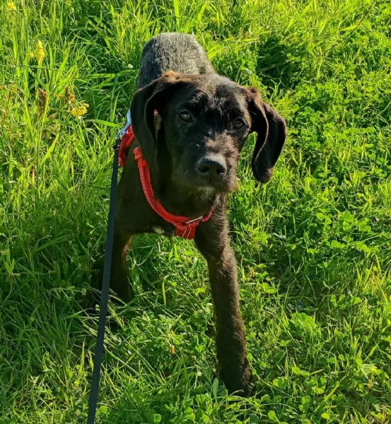 UNA MAMMA PER SYRIA | Foto 0