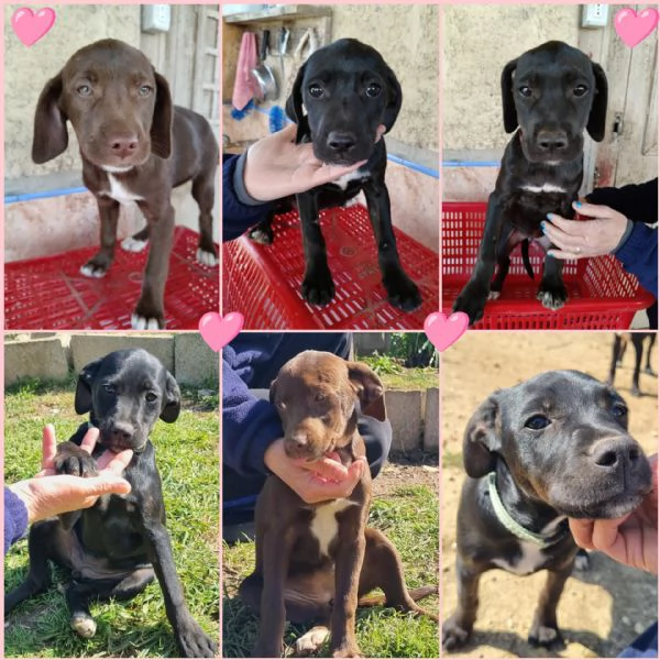 SORELLINE CERCANO CASA 