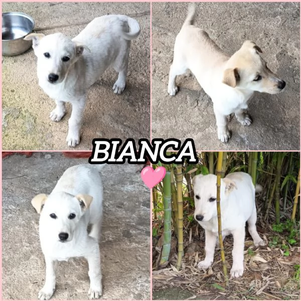 UNA MAMMA PER BIANCA