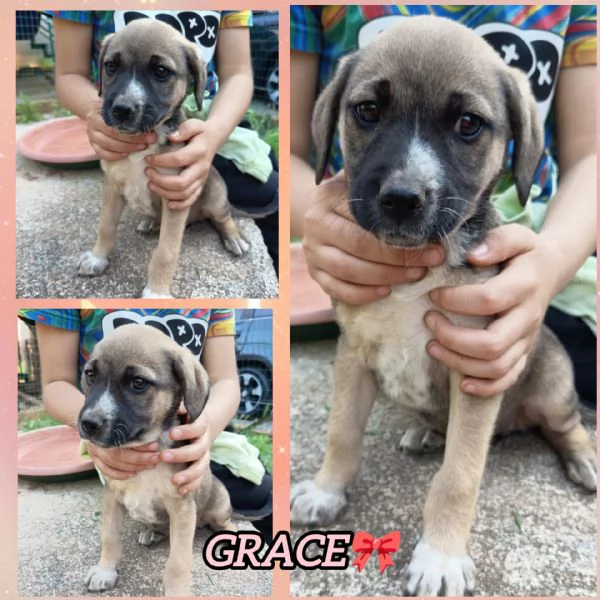 UNA MAMMA PER GRACE 