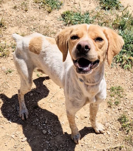 BRENDA,DOLCEZZA ALLO STATO PURO! | Foto 5