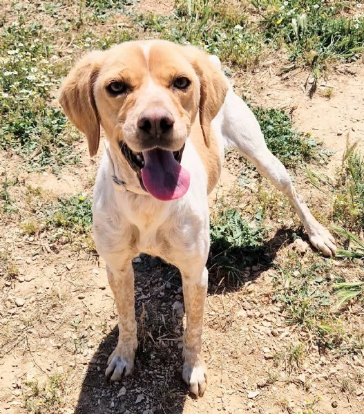 BRENDA,DOLCEZZA ALLO STATO PURO! | Foto 4