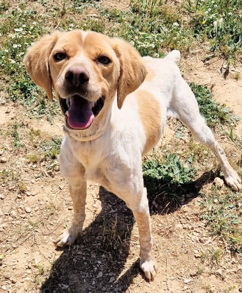 BRENDA,DOLCEZZA ALLO STATO PURO! | Foto 3