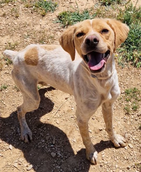 BRENDA,DOLCEZZA ALLO STATO PURO! | Foto 2