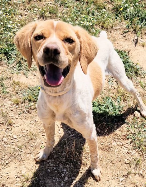 BRENDA,DOLCEZZA ALLO STATO PURO!