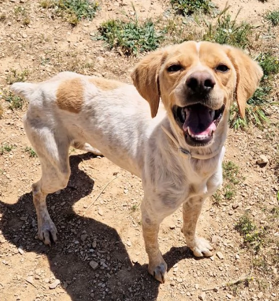 BRENDA,DOLCEZZA ALLO STATO PURO! | Foto 0