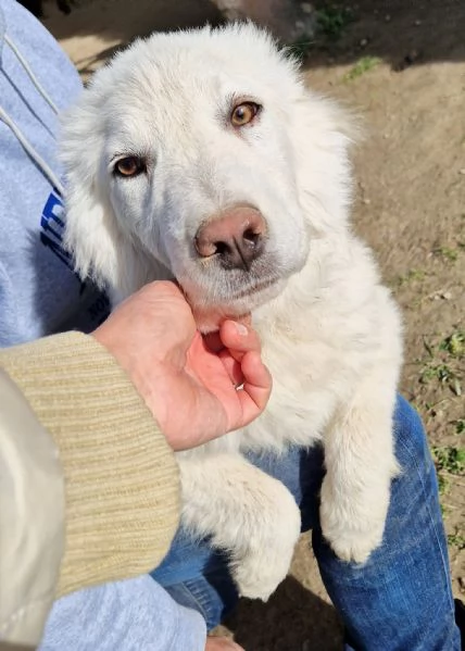 GLI OCCHI DI WHITE PARLANO!