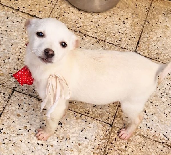 MILLY,IN CANILE! | Foto 3