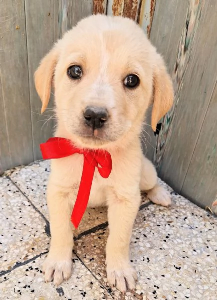 QUANTA TRISTEZZA NEGLI OCCHI DI PHOEBE! | Foto 6