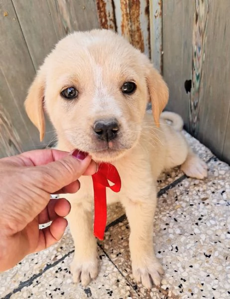 QUANTA TRISTEZZA NEGLI OCCHI DI PHOEBE! | Foto 5