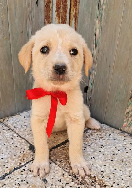 QUANTA TRISTEZZA NEGLI OCCHI DI PHOEBE! | Foto 4