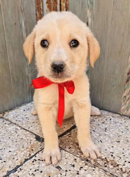 QUANTA TRISTEZZA NEGLI OCCHI DI PHOEBE! | Foto 3