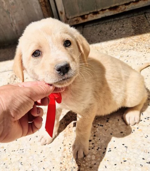 QUANTA TRISTEZZA NEGLI OCCHI DI PHOEBE! | Foto 2