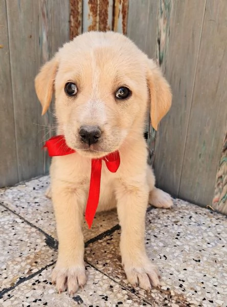 QUANTA TRISTEZZA NEGLI OCCHI DI PHOEBE! | Foto 1