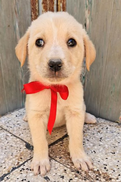 QUANTA TRISTEZZA NEGLI OCCHI DI PHOEBE! | Foto 0