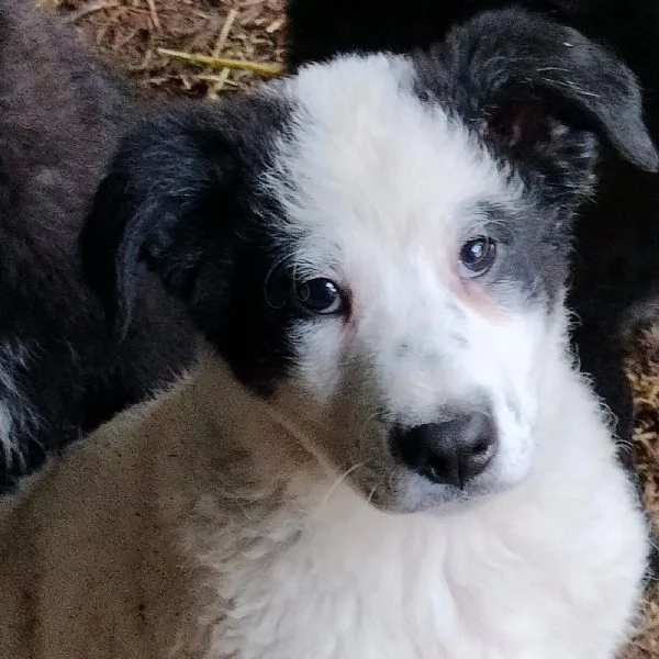 TATI, CUCCIOLOTTA | Foto 0