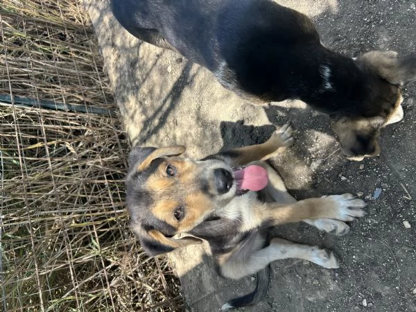 Tofu cerca casa  | Foto 0