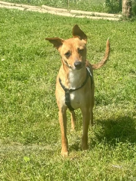 Max cerca casa | Foto 1