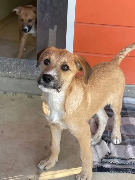 Agata e Nestor  | Foto 2