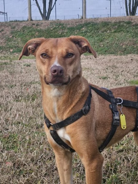 Elsa cerca casa | Foto 1