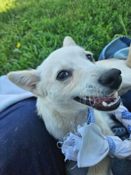 Missy | Foto 1