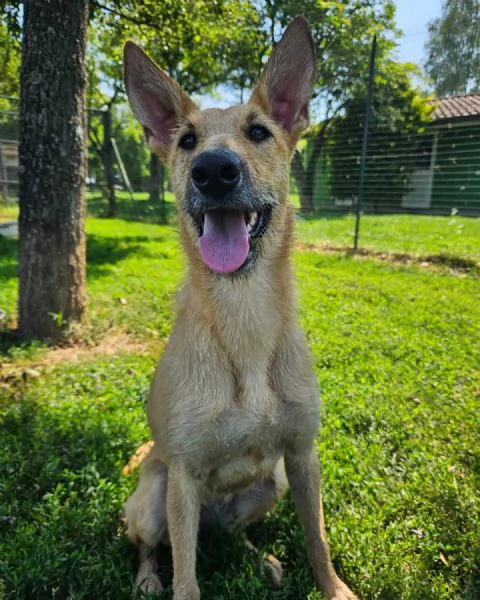 Mina cerca casa | Foto 2