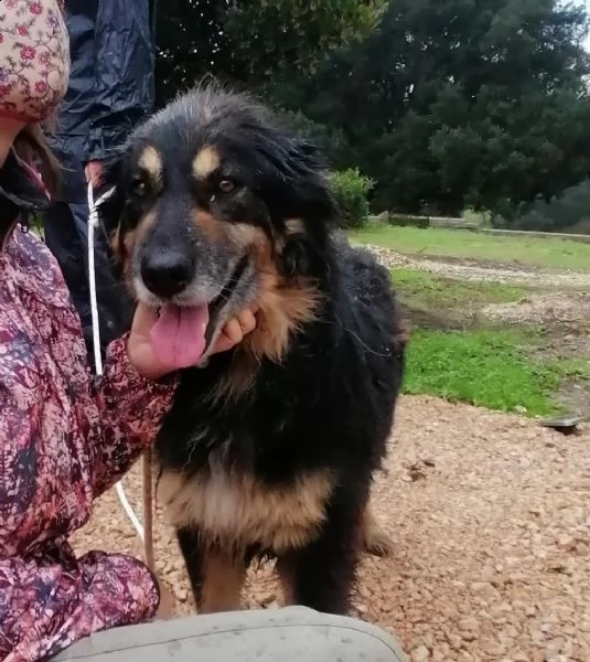 mora ... meraviglia in cerca di famiglia