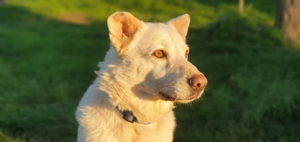 baldo, una vita spezzata 